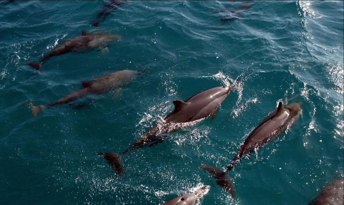 UNIVERSIDADES CRIAM ROTEIROS DE ECOTURISMO EM SANTA CATARINA